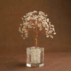 Growing Energy Crystal Tree