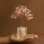 Growing Energy Crystal Tree
