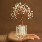 Growing Energy Crystal Tree