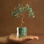 Growing Energy Crystal Tree
