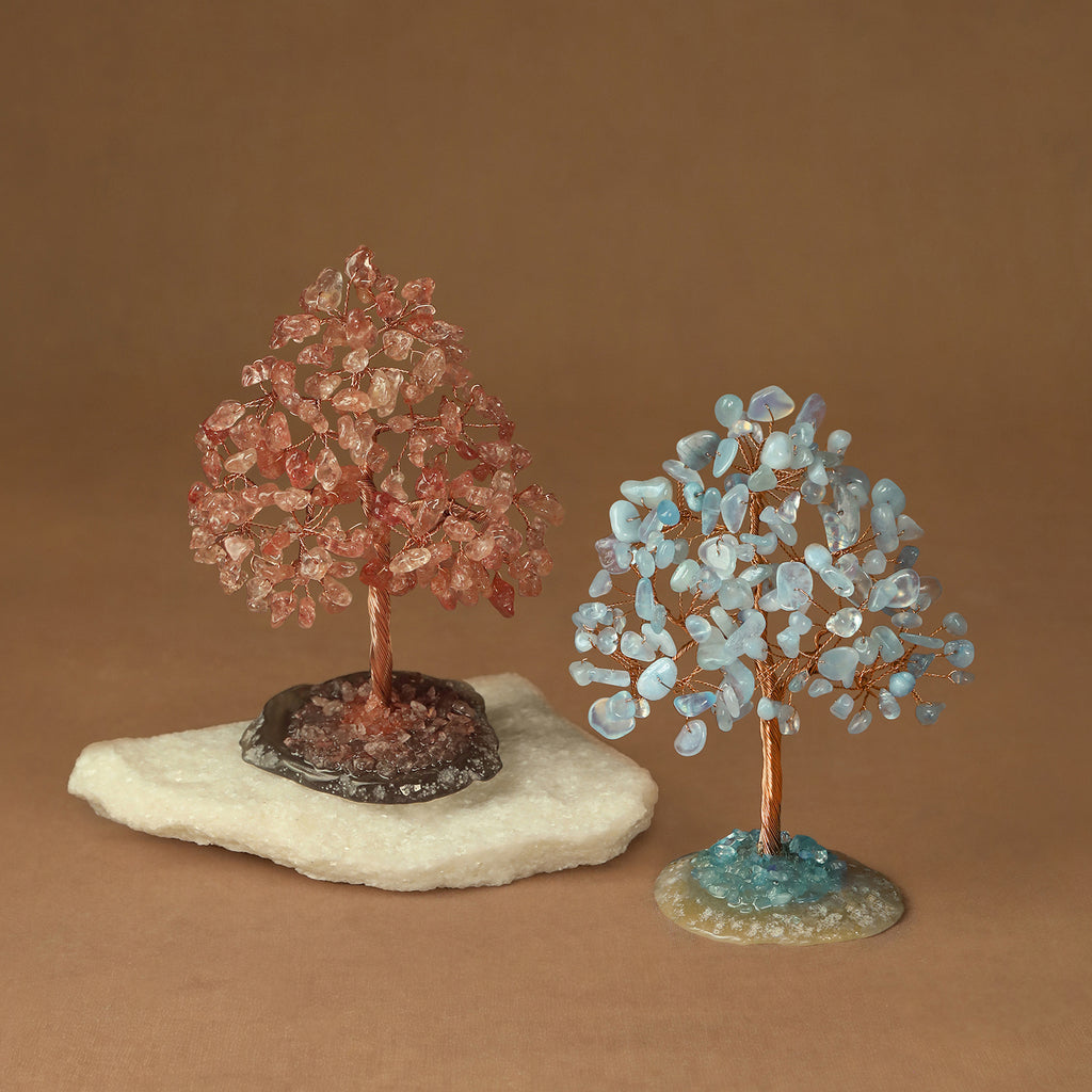 Rooted Crystal Tree