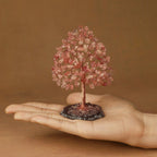 Rooted Crystal Tree