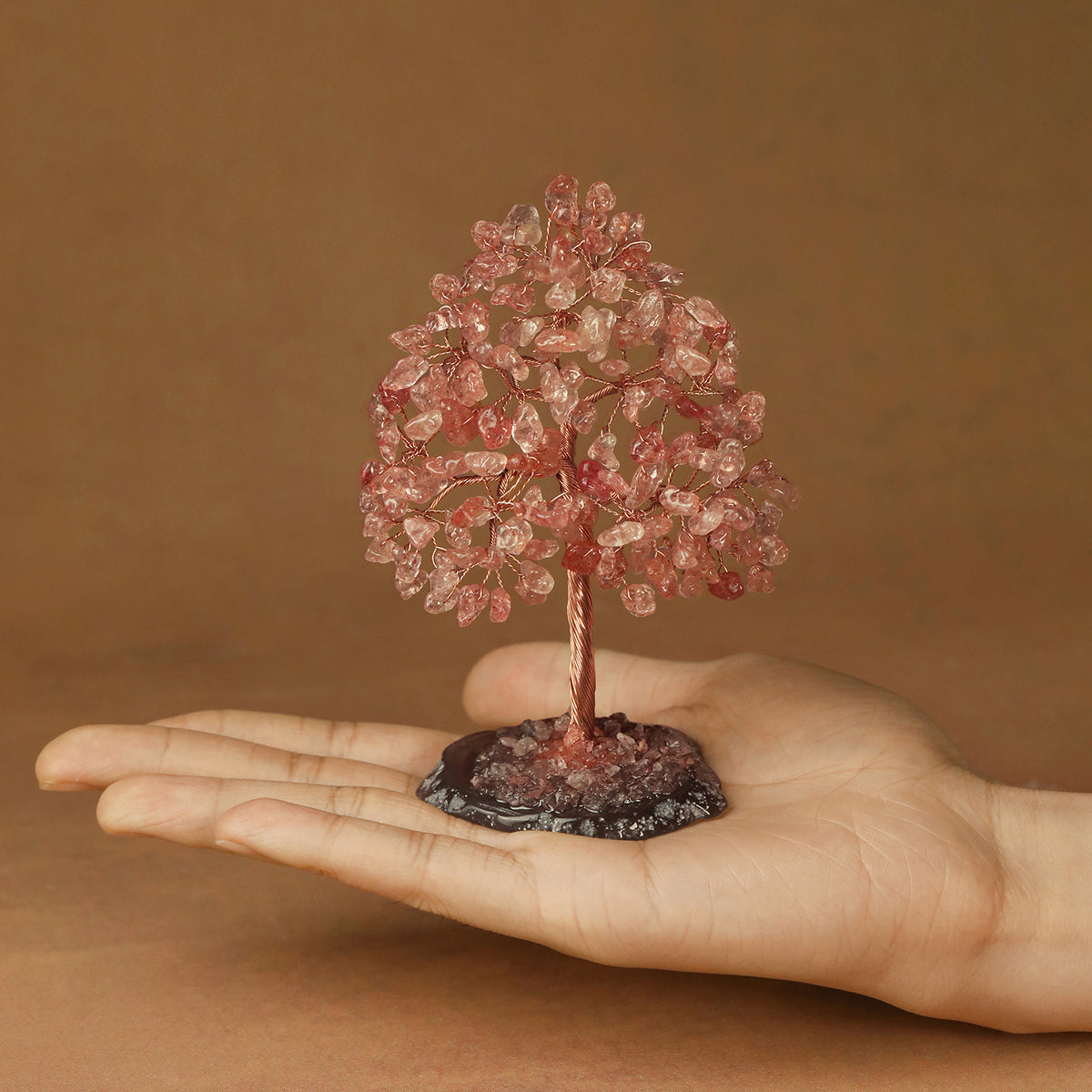 Rooted Crystal Tree