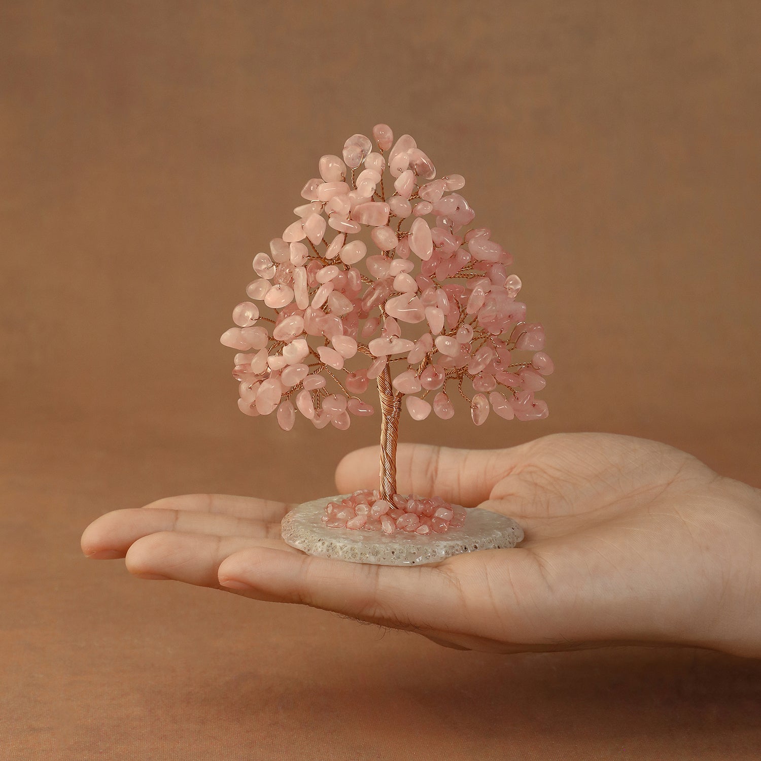 Rooted Crystal Tree