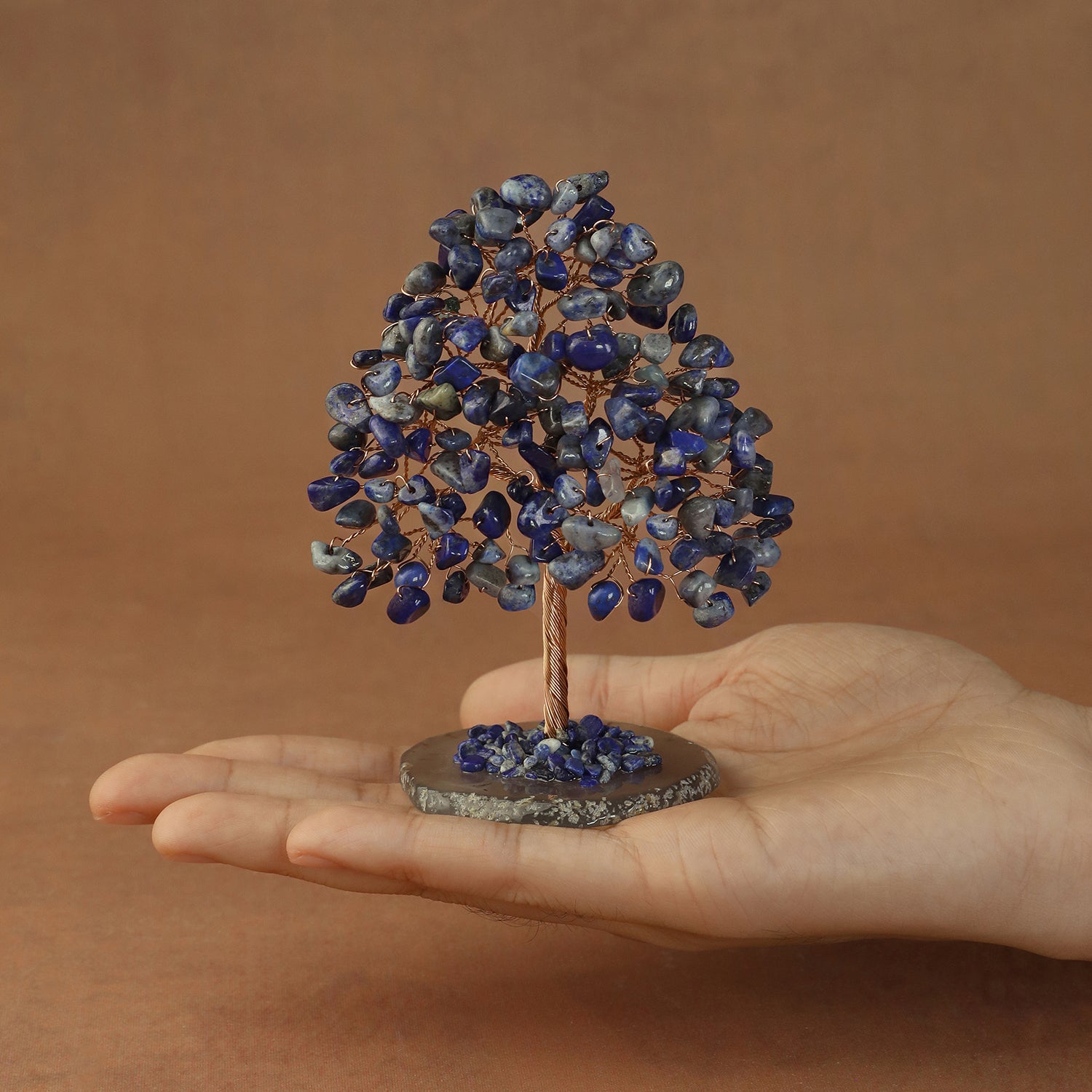 Rooted Crystal Tree