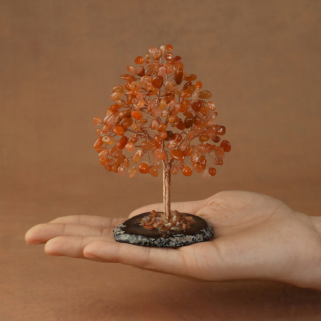Rooted Crystal Tree