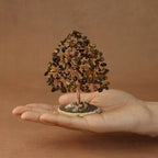 Rooted Crystal Tree