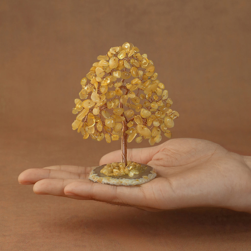 Rooted Crystal Tree