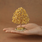 Rooted Crystal Tree
