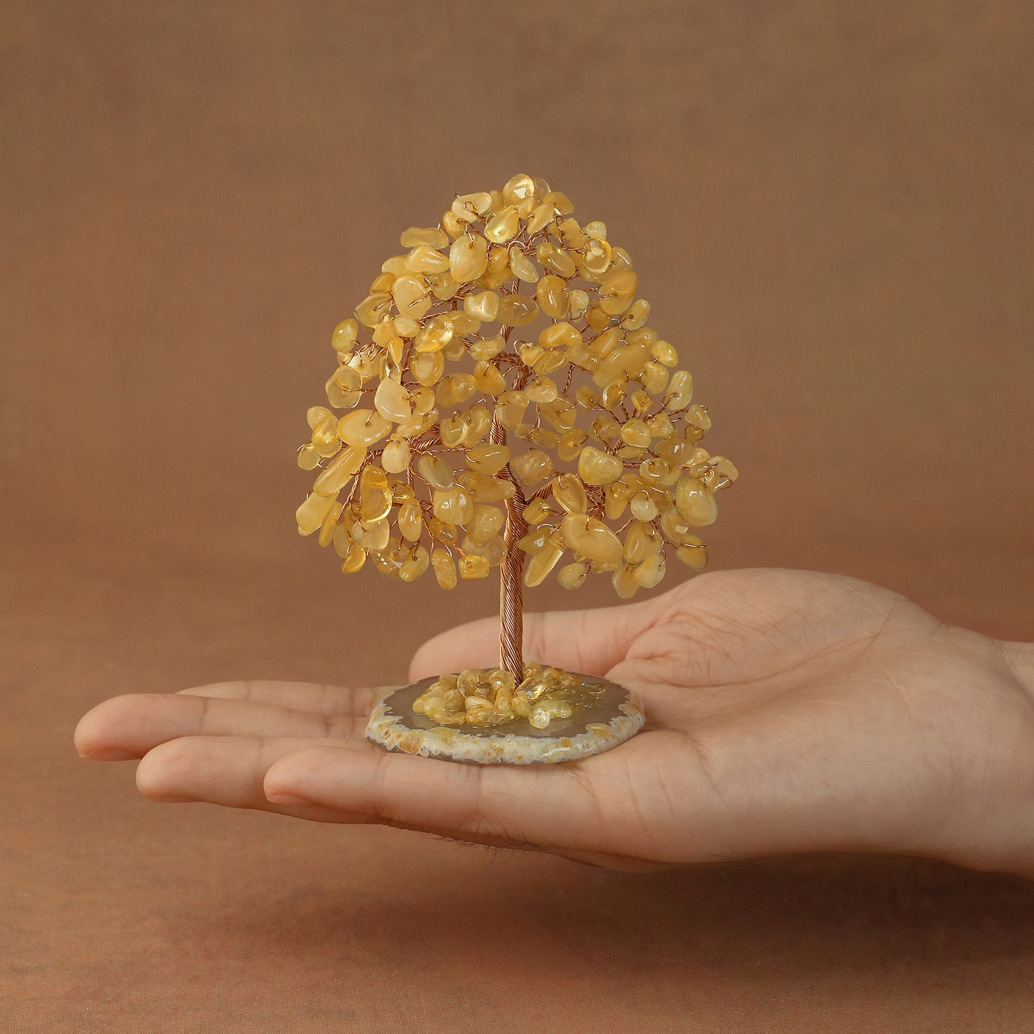 Rooted Crystal Tree