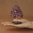 Rooted Crystal Tree
