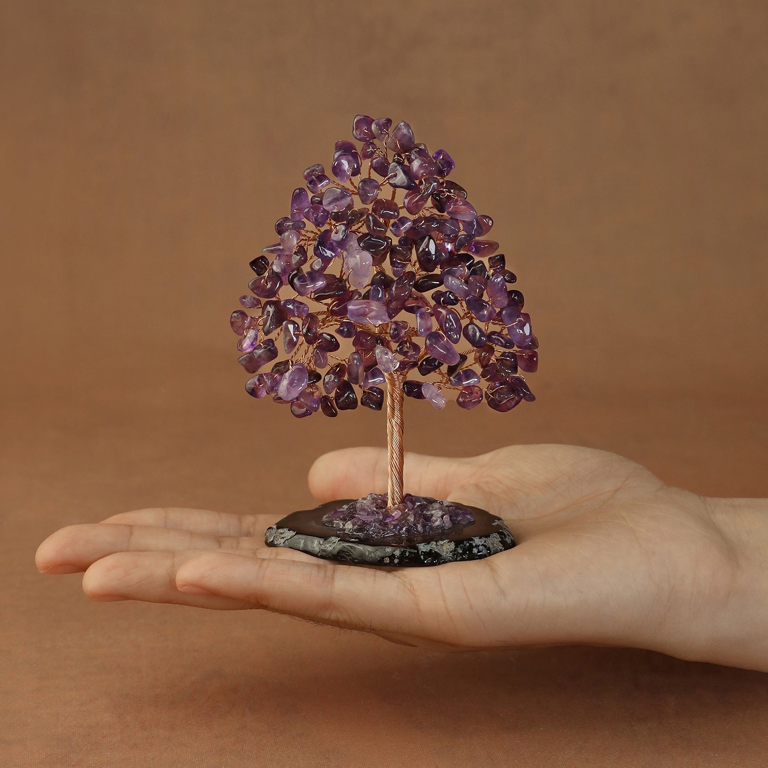 Rooted Crystal Tree