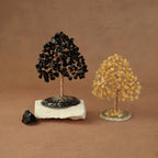 Rooted Crystal Tree