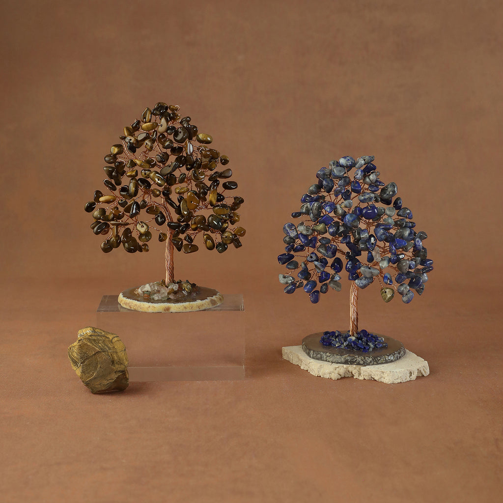 Rooted Crystal Tree