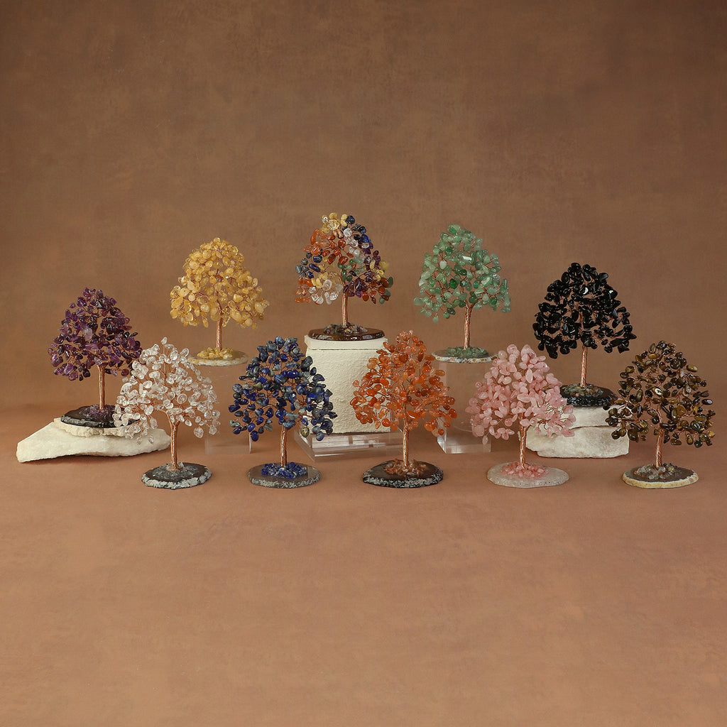 Rooted Crystal Tree