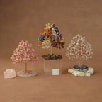 Rooted Crystal Tree