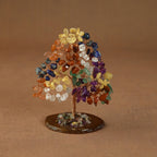 Rooted Crystal Tree