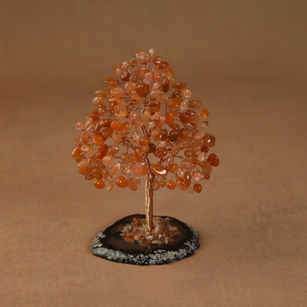 Rooted Crystal Tree