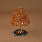 Rooted Crystal Tree