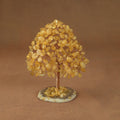 Rooted Crystal Tree