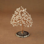 Rooted Crystal Tree