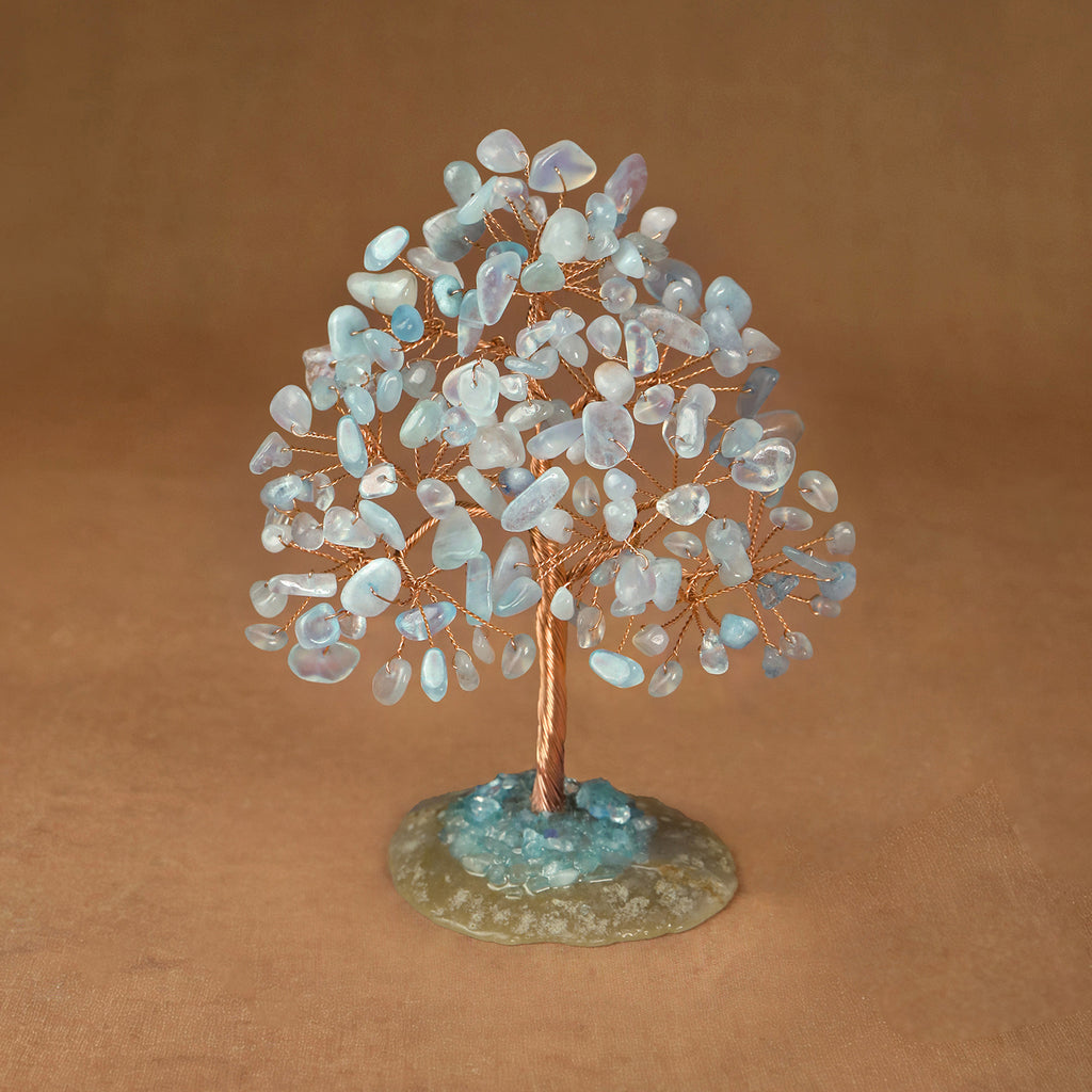 Rooted Crystal Tree