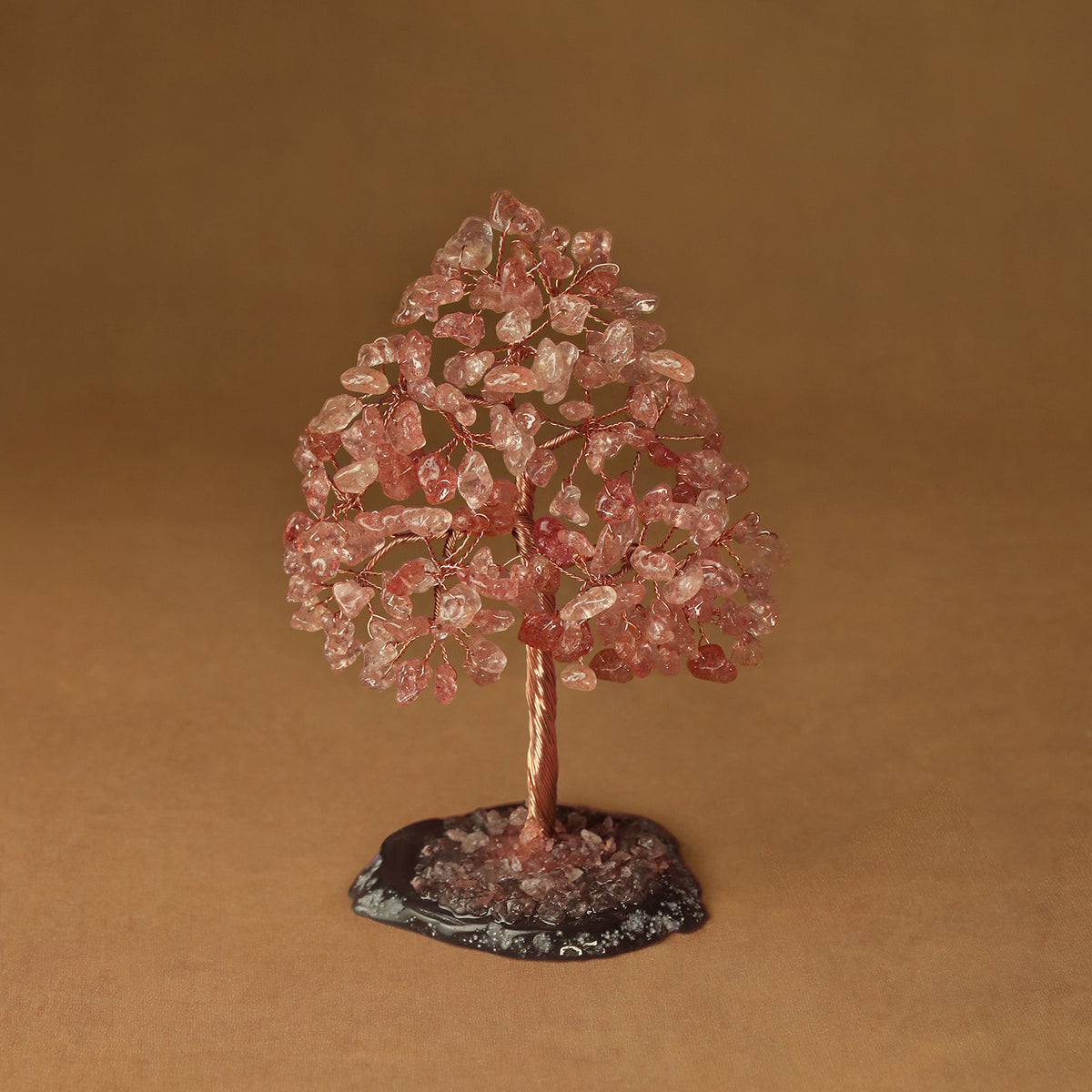 Rooted Crystal Tree