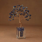 Growing Energy Crystal Tree