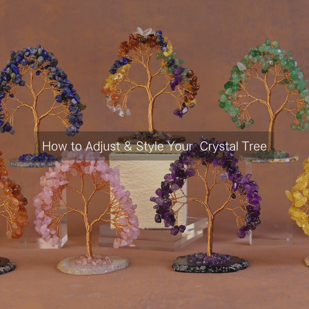 Rooted Crystal Tree